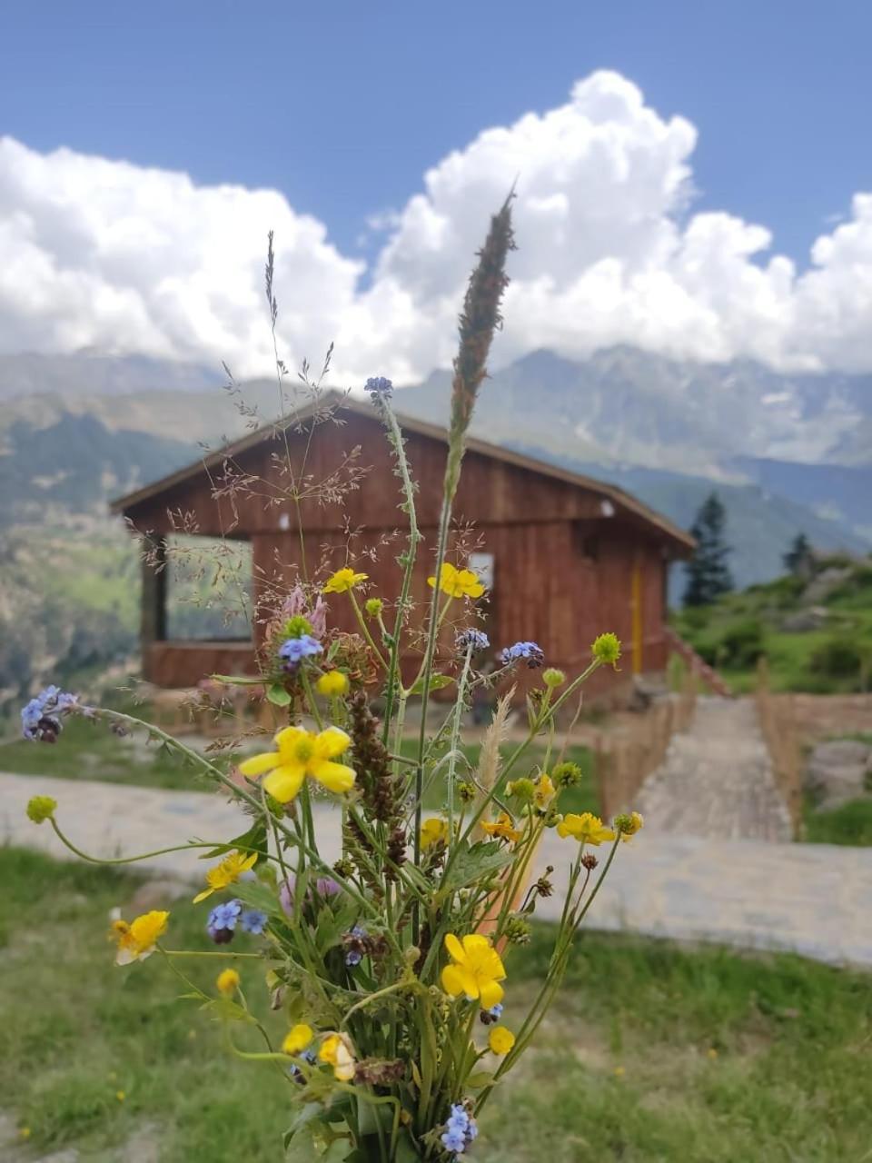 Khana Badosh Resort Kalam Exterior foto